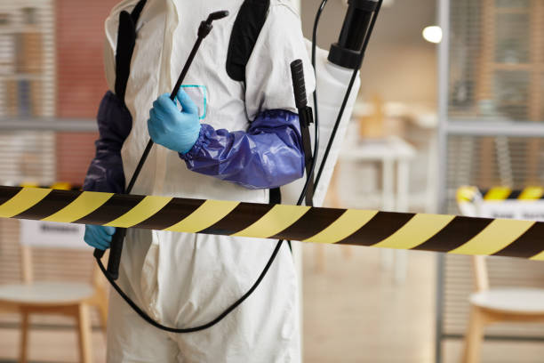 Professional Hoarding Cleanup technician working in Neshanic Station, NJ